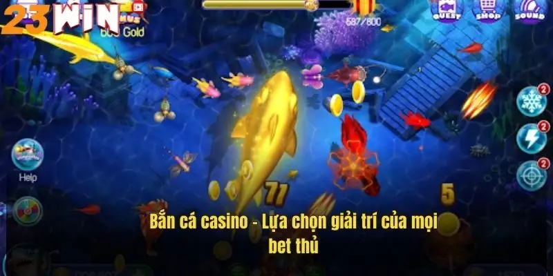vua-ban-ca-thoa-man-uoc-mo-lam-ba-chu-dai-duong-1